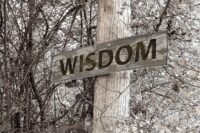 signpost, path, wisdom